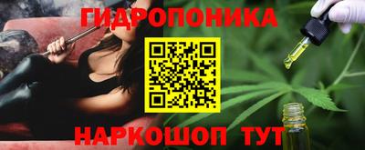 стаф Донской