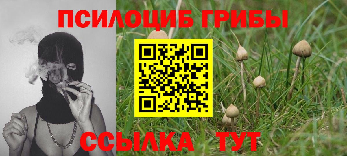Миллерово  Псилоцибиновые грибы MAGIC MUSHROOMS  Вход с VPN 